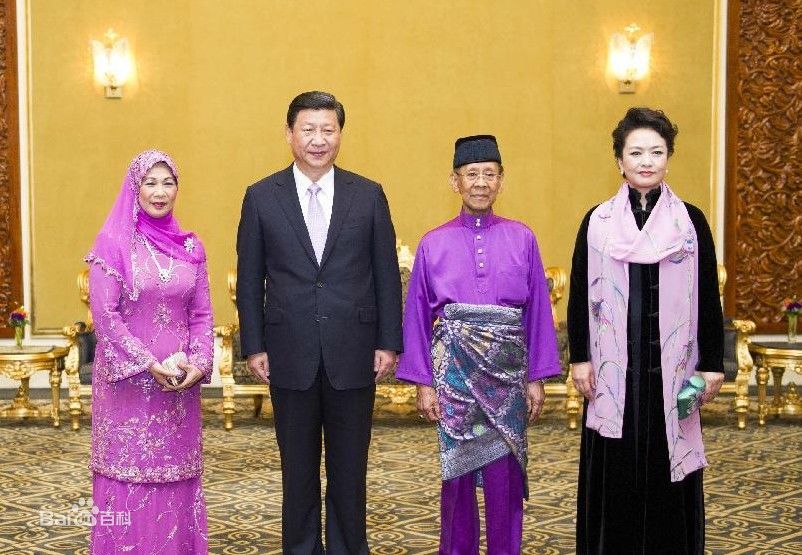 习近平会见马来西亚最高元首哈利姆 习近平会见马来西亚最高元首哈利姆